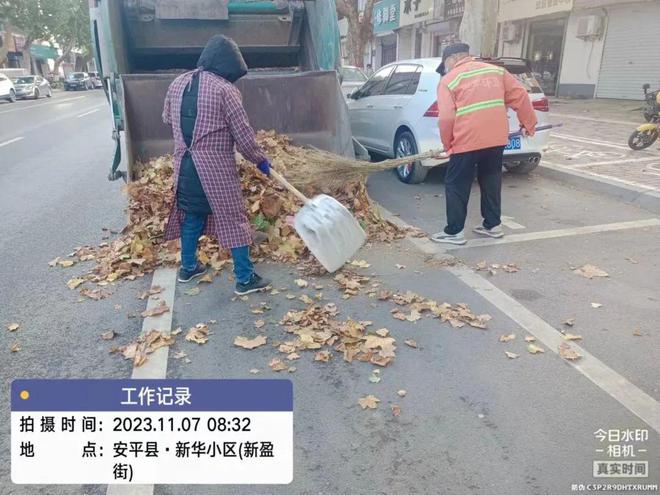 安平县：赢博体育app积极清扫落叶 确保城市“颜值”不掉线赢博体育官网入口(图4)