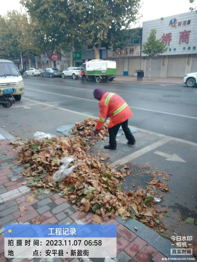 安平县：赢博体育app积极清扫落叶 确保城市“颜值”不掉线赢博体育官网入口(图3)