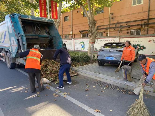 安平县：赢博体育app积极清扫落叶 确保城市“颜值”不掉线赢博体育官网入口(图7)