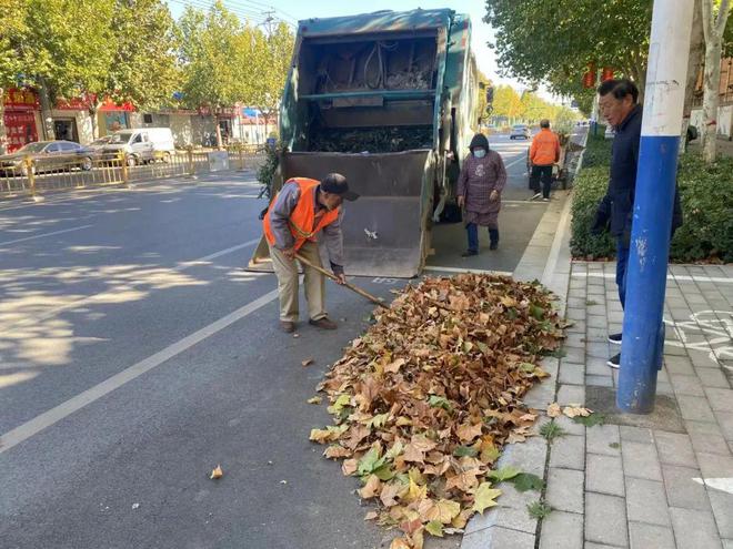 安平县：赢博体育app积极清扫落叶 确保城市“颜值”不掉线赢博体育官网入口(图5)